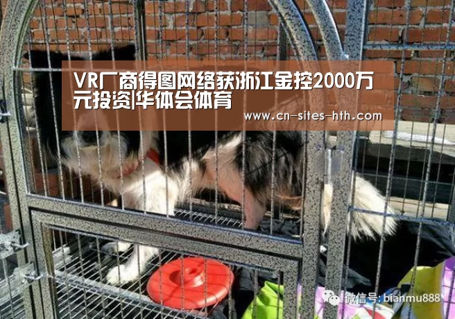 华体会体育