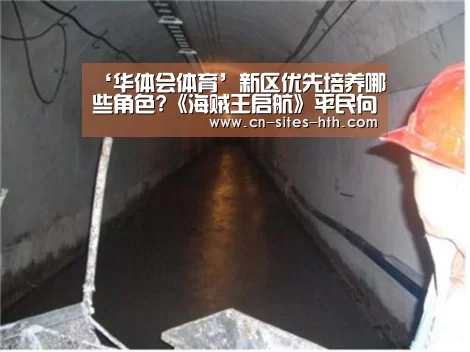 ‘华体会体育’新区优先培养哪些角色?《海贼王启航》平民向人物推荐(图2) 华体会体育