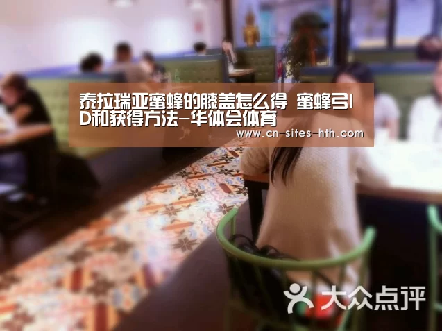 华体会体育