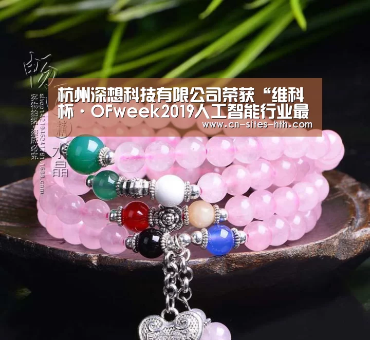 杭州深想科技有限公司荣获“维科杯·OFweek2019人工智能行业最具投资价值奖”‘华体会体育’