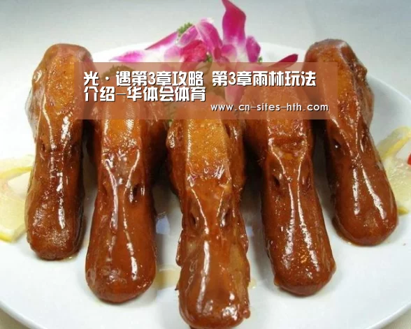 光·遇第3章攻略 第3章雨林玩法介绍-华体会体育